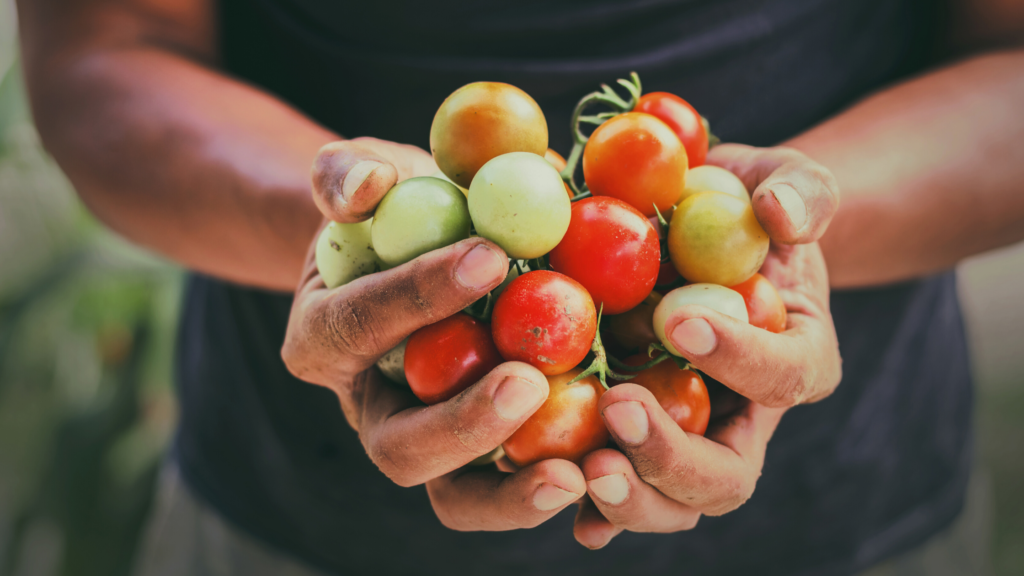 french agritech